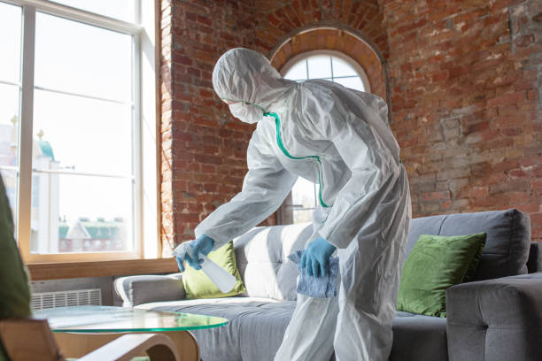 Best Asbestos and Lead Testing During Mold Inspection in Fallon, NV